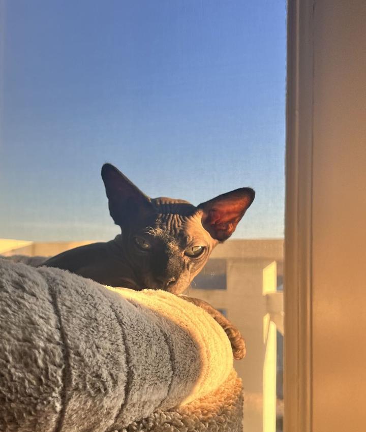 Portrait of Lillian
